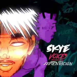 Skye - Voices ft. XXXTENTACION